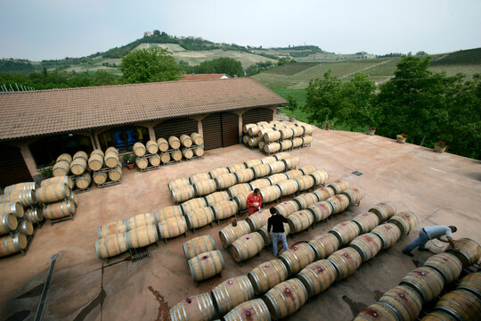 2004 Nebbiolo juice at a winery in Monforte D'Alba, Barolo, Piedmont, Italy.