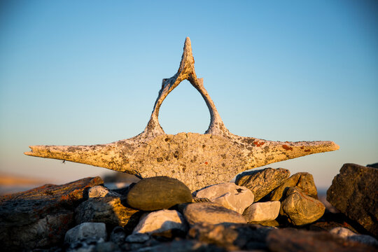Whalers' Graves, Deadman Island, Nunavut, Canada