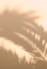 Palm tree stylish sunlight shadows on beige wall background. Nature aesthetic minimalist concept