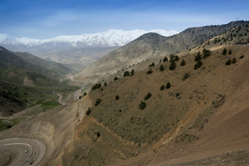 Mountain forest in the Chatkal biosphere reserve, Uzbekistan, Tashkent, Tien Shan