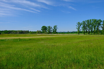 Landschaft am Waldgebiet Schopfig bei Grettstadt, Landkreis Schweinfurt, Unterfranken, Bayern, Deutschland