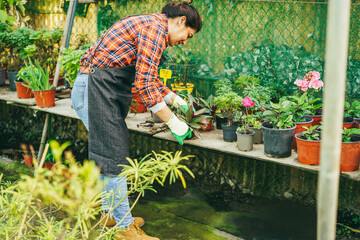 Latin woman working inside greenhouse garden - Focus on gloves holding plant