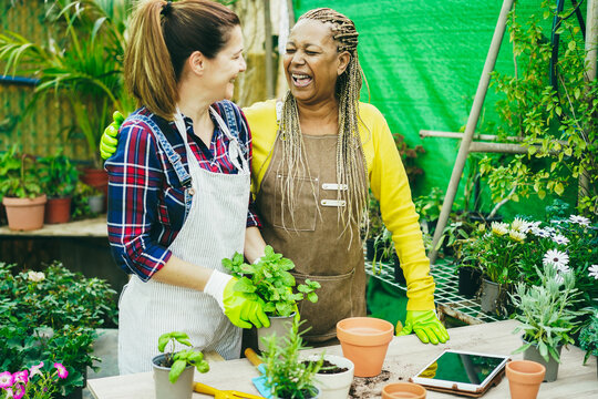 Multiracial women working inside green glasshouse garden market - Focus on senior african female face