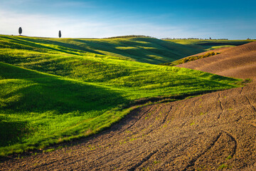 Fototapeta na wymiar Tuscany spring landscape with green meadows and plowed fields