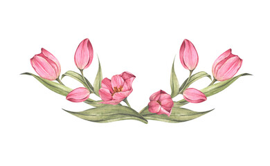 Pink tulips and leaves. Bouquet of tulips. Floral composition. Watercolor illustration.