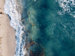 Areal photo of blue wave on beach with seaweed in Florida.