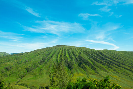 Savana and Teletubbies Hill at Bromo Tengger Semeru National Park, East Java, Indonesia. Indonesian Landscape