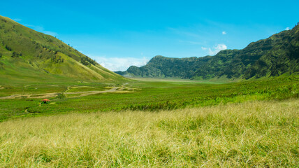 Obraz premium Savana and Teletubbies Hill at Bromo Tengger Semeru National Park, East Java, Indonesia. Indonesian Landscape