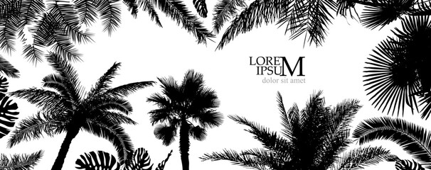 Fototapeta na wymiar Horizontal frame with graphic palm trees. Vector illustration