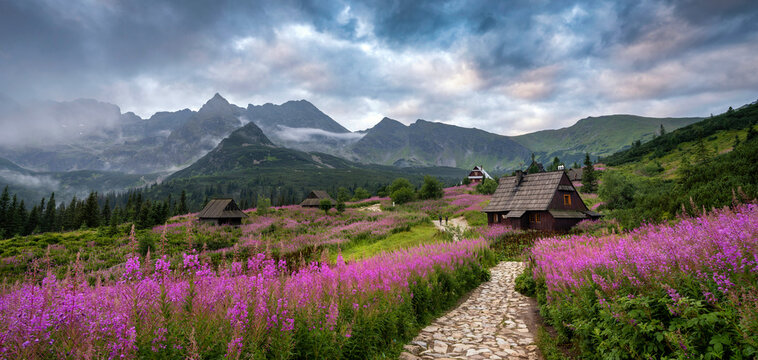 Beautiful summer morning in the mountains - Hala Gasienicowa in Poland - Tatras © Piotr Krzeslak