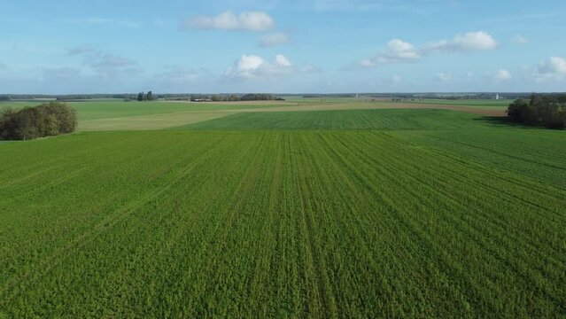 Survol de champs en &eacute;t&eacute; dans le nord de la France