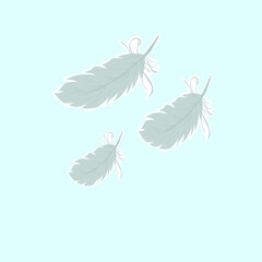 vector illustration of falling feathers looking light and fluffy