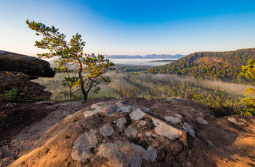 Felsenlandschaft im Pf&auml;lzer Wald
