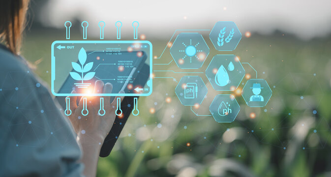 Smart farmer asian woman using tablet iot technology analyzing plant health, water soil moisture and air purity content, agriculture plant botanist gardener, holographic modern tech assistance.