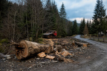 Felled fir trees and machinery on a dirt road in a forest in the mountains. Cutting down the Carpathians. Destruction of nature