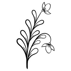 Hand Drawing Leaves and Flower Element