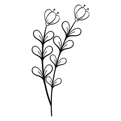 Hand Drawing Leaves and Flower Element