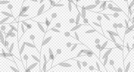 Realistic transparent of a berries with leaves. Background with berries and leaves shadows. Vector illustration