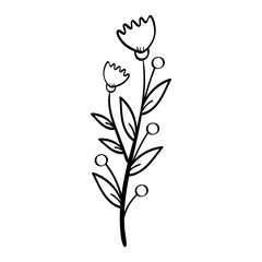 Hand Drawing Leaves and Flower Element