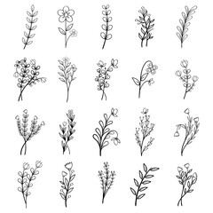Hand Drawing Leaves and Flower Element Collection