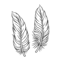 Obraz premium Feathers line icons set vector illustration. Hand drawn outline soft lightweight feathers and fluff for pillow, fluffy easy plumage of bird or angel wings, natural fuzz and quill of duck and dove