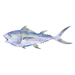 watercolor tuna