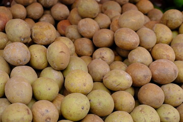 Manilkara zapota or Sawo, commonly known as sapodilla sapote, naseberry, nispero or chicle, is a long-lived, sweet and tasty fruit