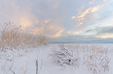 frozen lake in winter