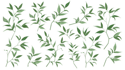 Vector designer elements set collection green branch with leaves. Decorative beauty elegant illustration for design leaf in watercolor style.