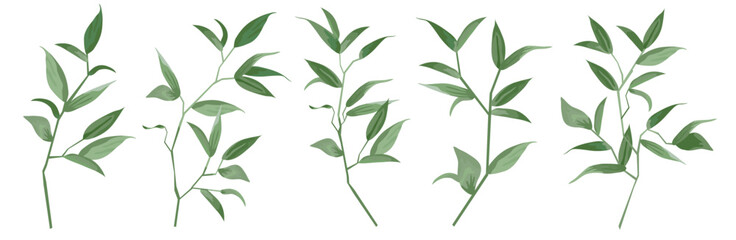 Vector designer elements set collection green branch with leaves. Decorative beauty elegant illustration for design leaf in watercolor style.