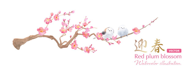 梅の花と並んだ２羽のエナガ。水彩イラスト。紅梅と小鳥の装飾。（ベクター。レイアウト変更可能）

