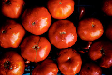 Tomaten aus dem Garten. 