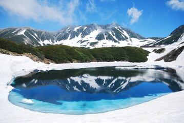 Fototapeta na wymiar 立山アルパイン　雪解けのみくりが池