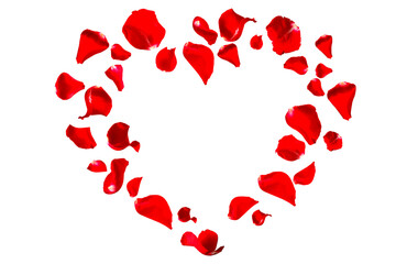 Red rose petals fly into heart shape for love greetings. Background with isolated rose petals....