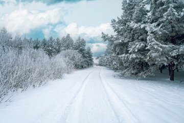 Tire tracks from a car that ran in the snow
