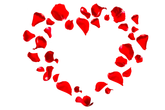 Red rose petals fly into heart shape for love greetings. Background with isolated rose petals. png/d.