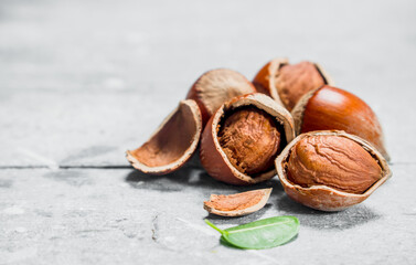Hazelnut with green leaves .