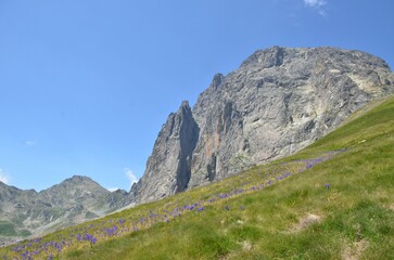 Paysage pyrénéen