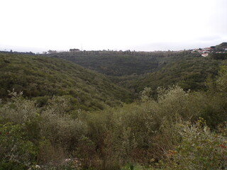 paisagem com duas montanhas que formam um vale coberto de vegetação e árvores verdes