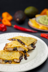 quesadilla with chicken meat and beans and guacamole with nachos