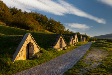 Autumnal Gombos-hegyi pincesor in Hercegkut, UNESCO site, Great Plain, North Hungary