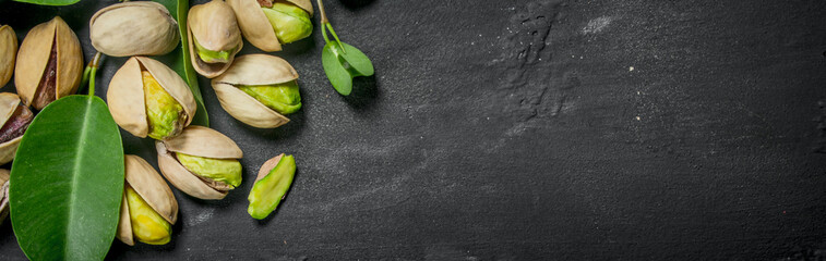 Pistachios with leaves .
