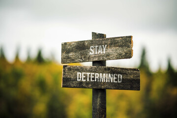 vintage and rustic wooden signpost with the weathered text quote stay determined, outdoors in nature. blurred out forest fall colors in the background.