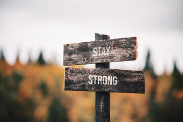 vintage and rustic wooden signpost with the weathered text quote stay strong, outdoors in nature. blurred out forest fall colors in the background.