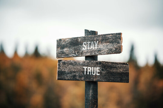 vintage and rustic wooden signpost with the weathered text quote stay true, outdoors in nature. blurred out forest fall colors in the background.
