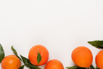 citrus layout