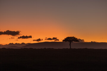 Sunrise on the African plains of Masai Mara