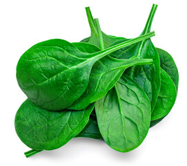 Pile of fresh green baby spinach leaves isolated on white background. Espinach Close up. Flat lay. Food concept.