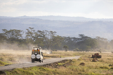 Safari vehicles crossing a path in Lake Nakura