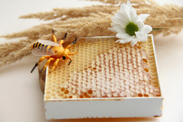 A bee on a honeycomb with honey. Flower honey in honeycomb close-up.Honeycomb with honey.